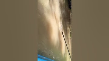 Ca Linh mua nước nổi