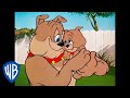 Tom & Jerry in italiano | Spike, padre dell'anno | WB Kids