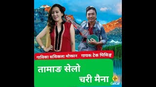 New Tamang Selo chari maina  चरी मैना