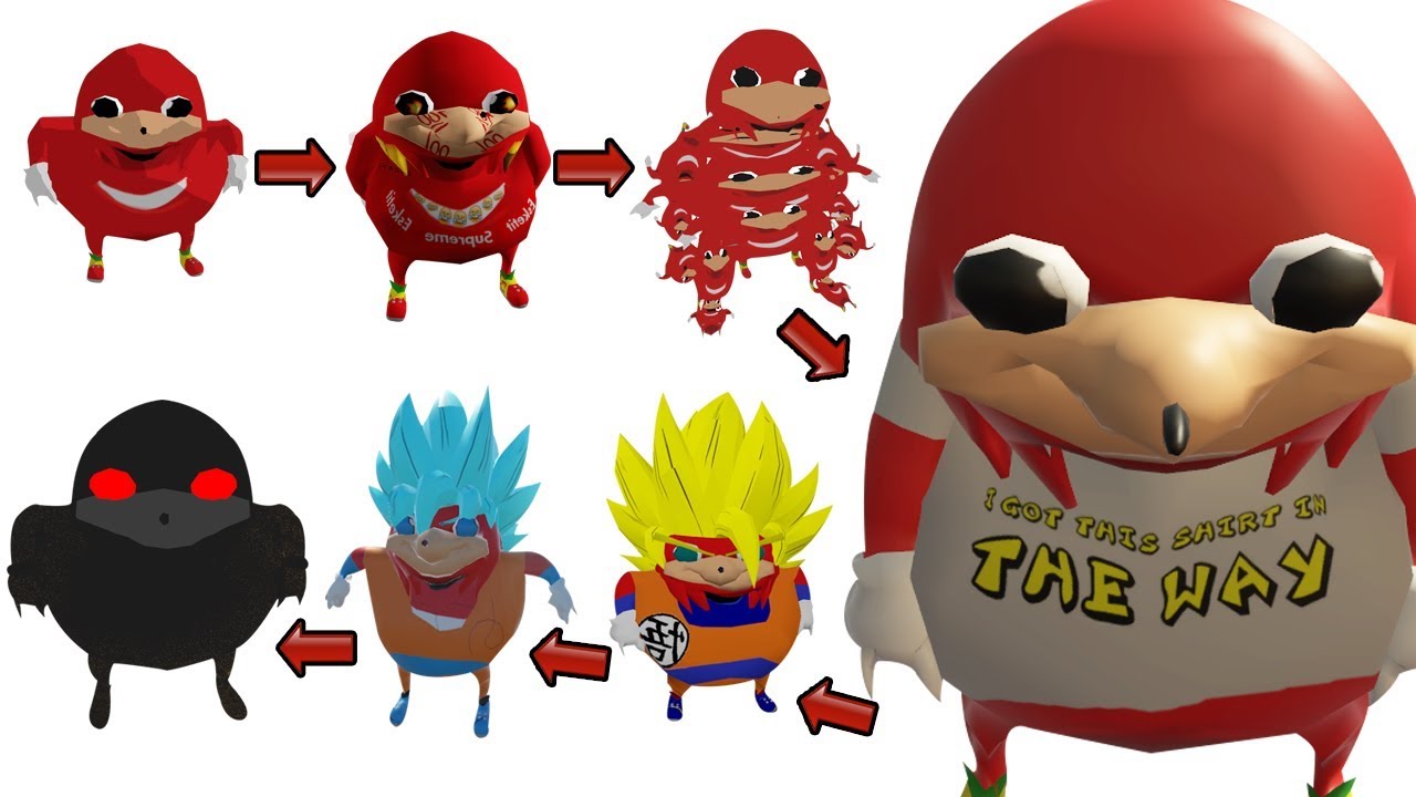 lineas evolutivas de los derechos humanos Explicación: Líneas Evolutivas de los Knuckles