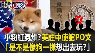 小粉紅氣炸！？美駐中使館簽證處PO文：是不是像狗一樣想出去玩！？【關鍵時刻】20210510-5 劉寶傑 黃世聰 李正皓 吳子嘉