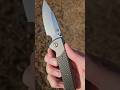 Chavez Beast #edc #knifecommunity #edcknife #blade #knifereview #bladelife #shorts #sharp #folder