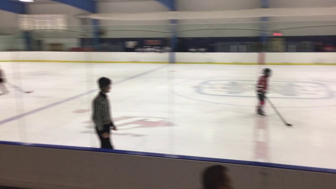 The most aggressive hockey player YouTube