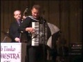 Bobby timko  slovenian village polka