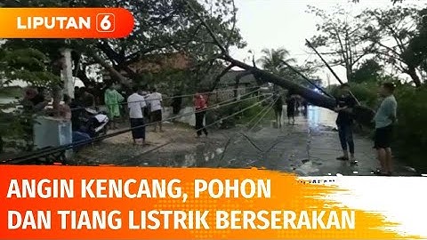 Terjangan Angin Kencang di Lamongan, Pohon dan Tiang Listrik Berserakan di Jalan | Liputan 6