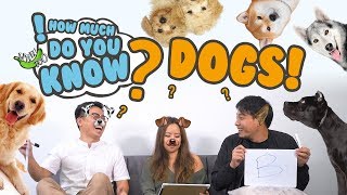 How Much Do You Know  Dogs