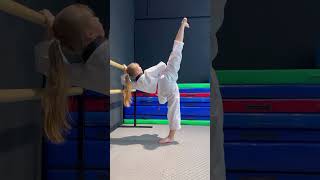 Taekwondo. Side Kick.training. Children