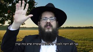 איך מתמודדים בדילמות מוסריות? הרב שניאור אשכנזי