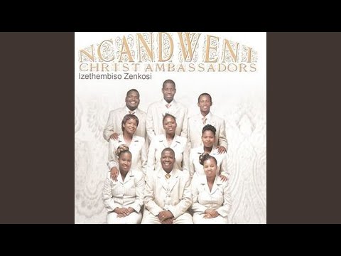 Ngizoba nawe