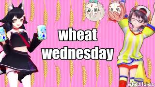 wheat wednesday v2.1