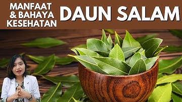 MANFAAT & BAHAYA DAUN SALAM UNTUK KESEHATAN | dr.Emasuperr