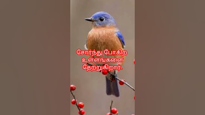 சோர்ந்து போகிற உள்ளங்களை தேற்றுகிறார் Christian song🙏