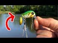 CRAZIEST Expensive Tiny Lure I've EVER Seen!!! (Surprising)