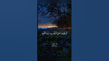 تلاوة هادئة من الشيخ محمد الليحدان. #قرآن #قران_كريم #راحة_نفسية #quran #تلاوة_خاشعة
