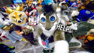 Too Many Fursuits