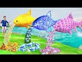 तीन जादूई मछली Teen Jadui Magical Money Fish Comedy Video