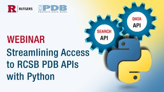 Streamlining Access to RCSB PDB APIs with Python Profile