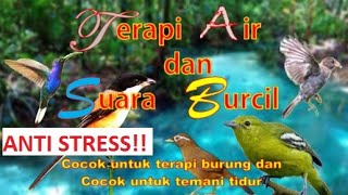 Anti Stres | Terapi Suara Air dan Suara Burcil | burung jadi gacor | Relaksasi & Penghantar tidur