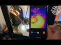 Teléfono con visión termal real FLIR de Blackview BV8900 WOW este si es para alguien pro! |NQUEH