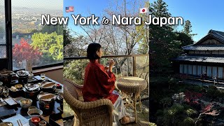 미국이민 6개월만에 가는 가족여행❣️오사카 근교 료칸, 나라사슴공원🦌,미카사 료칸