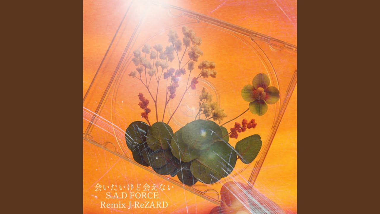 会いたいけど会えない (Remix)