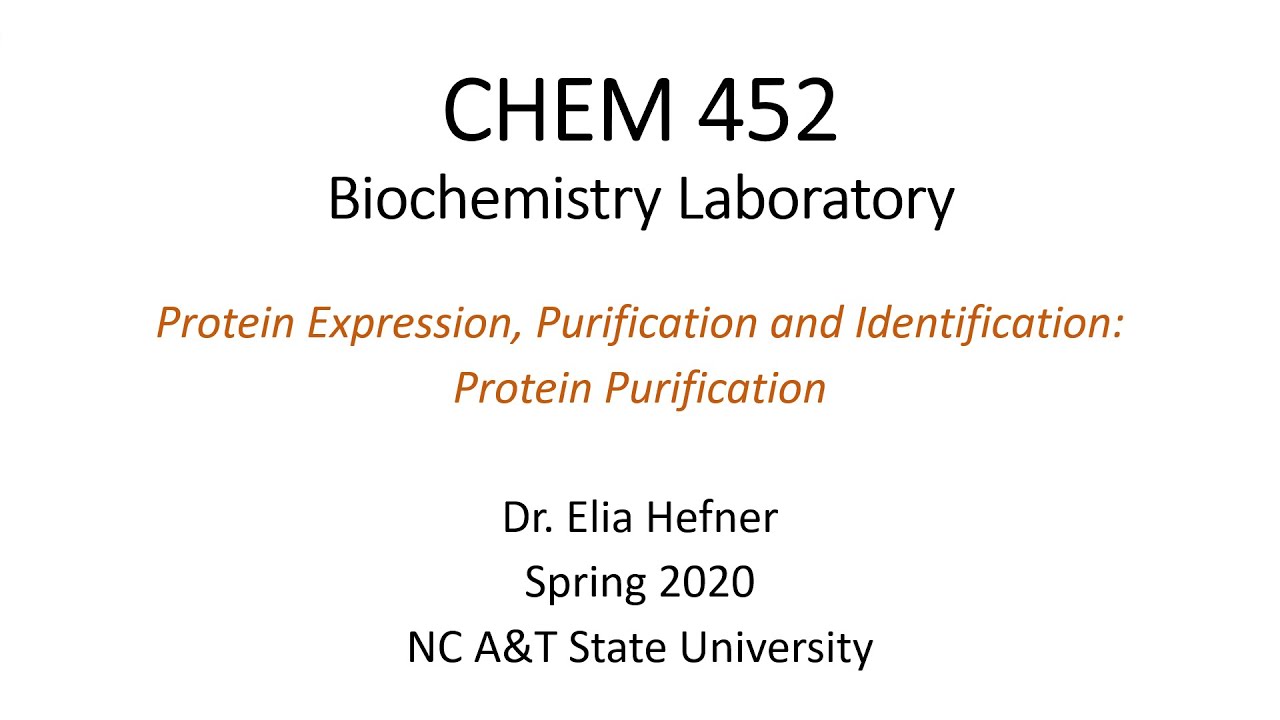 Protein Expression, Purification and Identification: Protein Purification