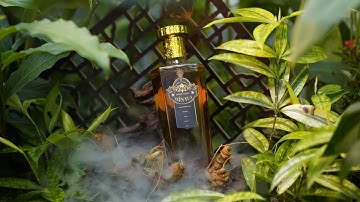 Rượu Sâm Tiến Vua - Công Ty Tam Long