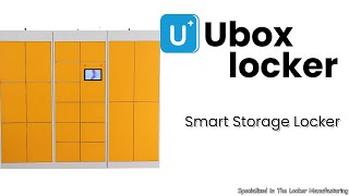 Smart Storage Locker Factory