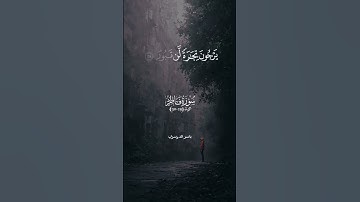 #المصحف #قران_راحه_نفسيه #قران_كريم للقارئ الشيخ ياسر الدوسري سوره فاطر تلاوه خاشعه للقران الكريم 🥺