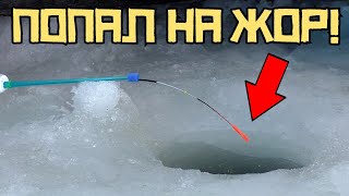 ТЕПЕРЬ КОРМЛЮ ТОЛЬКО ЭТИМ! Налил ТАЙНУЮ муть и НАЧАЛСЯ ЖОР! Рыбалка 2024