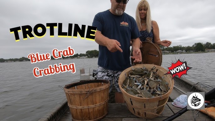 10 Trotline Crabbing Tips and Tricks: 3 BUSHELS by 8 AM! Chesapeake Bay  Crabbing 