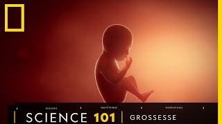 Tout comprendre sur : la grossesse