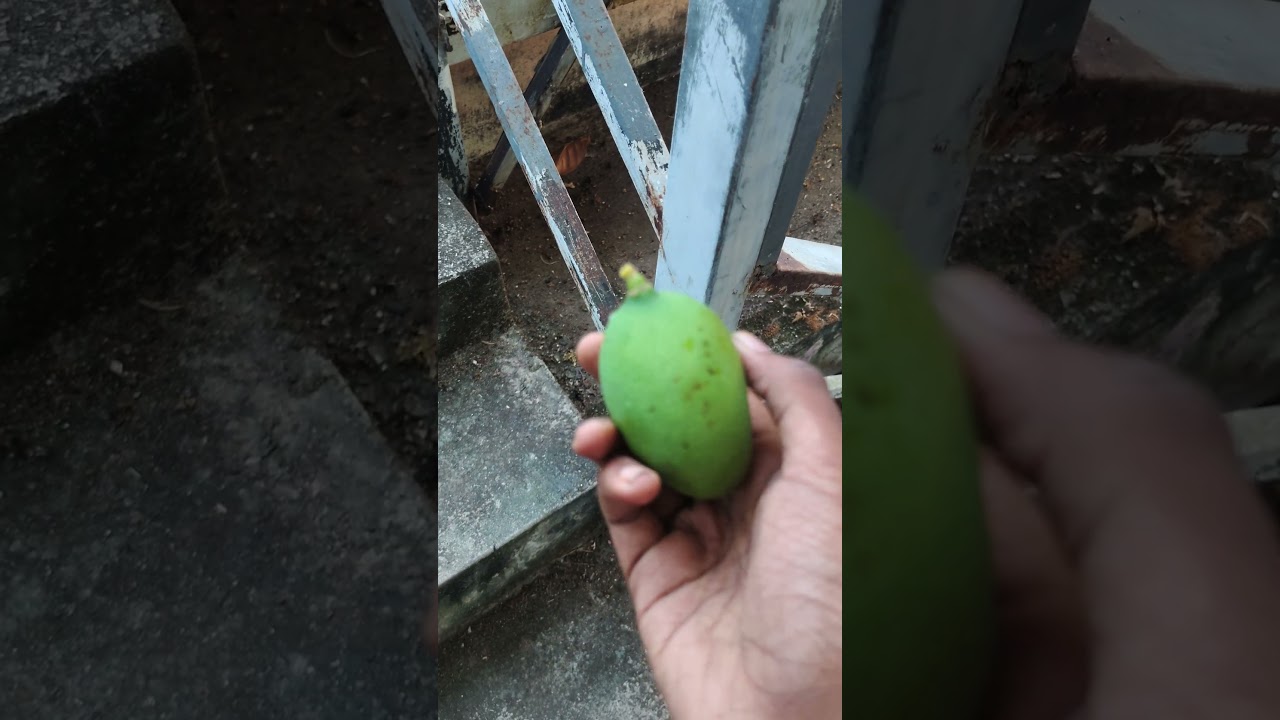 enne thenicha kuttiyene....? 