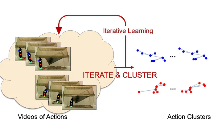 Iterate and Cluster: Iterative Semi-Supervised Action Recognition