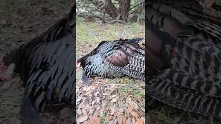 Well Ol’ Tom Didn’t See This Coming!