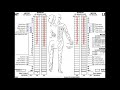 Classifying Spinal Cord Injuries using ASIA Scoring [Example 2]