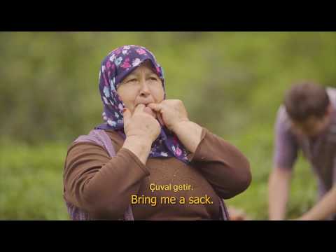 Whistled Language - Mr. Firuz Baglikay  - 3rd UNWTO/UNESCO World Conference on Tourism and Culture thumbnail