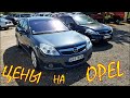 Opel цена авто из Литвы. Август 2020.