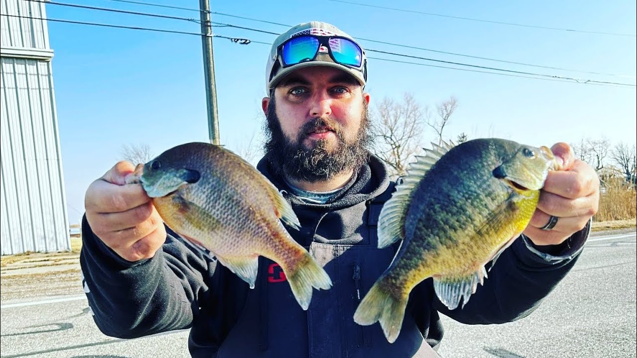 WEEKLY FISHING REPORT🎣🔥 ST CLAIR RIVER, LAKE ST CLAIR, LAKE HURON 3/11 ...