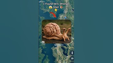 I Found Very Strange Snail 🐌😱 on google maps and google earth #shots #hrgoogleearth