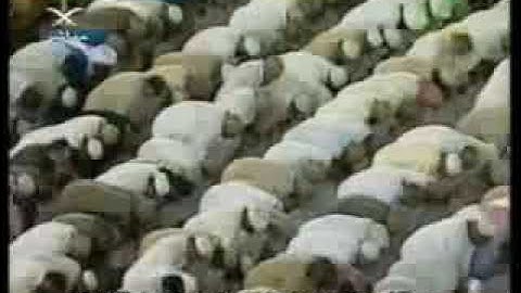 الشيخ سعود الشريم  من سورة السجدة عام 1425هـ