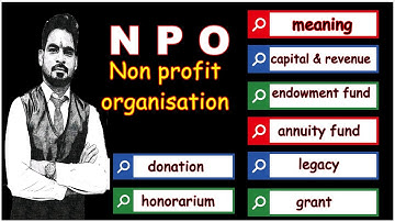 NON PROFIT ORGANISATION   PART 1 (NPO)