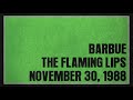 The Flaming Lips - Live at Barbue in Copenhagen, Denmark (November 30, 1988)