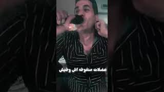 احمد شيبه لايف 