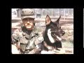 War Dogs Of Vietnam