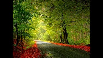 (15)(سورة الحجر) بصوت الشيخ ماهر المعيقلي