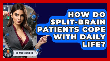 How Do Split-brain Patients Cope With Daily Life? - Strange Science HQ