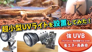 超小型で超高性能？カナヘビ水槽にLED型のUVBライトを設置してみた！　ゼンスイ マイクロン+マイクロUV LEDセット【ニホンカナヘビ・爬虫類・飼育】