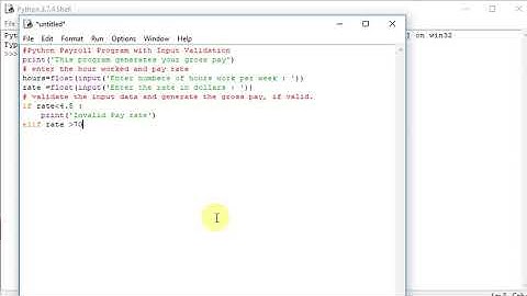 Python Payroll Program with Input Validation