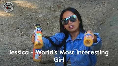 Fancy Fence Retracting Gate Install | Mulholland Security Los Angeles